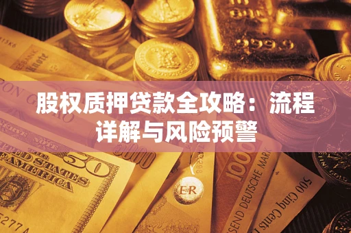武汉股权质押贷款全攻略：流程详解与风险预警