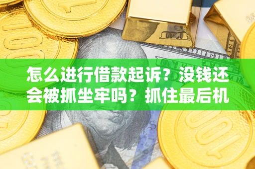武汉怎么进行借款起诉？没钱还会被抓坐牢吗？抓住最后机会！