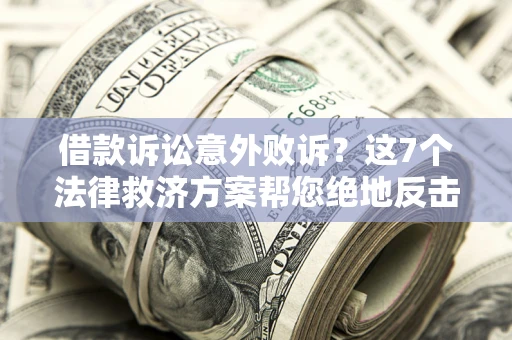 武汉借款诉讼意外败诉？这7个法律救济方案帮您绝地反击！