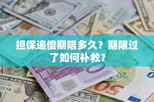 武汉担保追偿期限多久？期限过了如何补救？