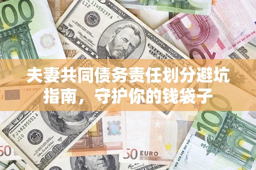 武汉夫妻共同债务责任划分避坑指南，守护你的钱袋子