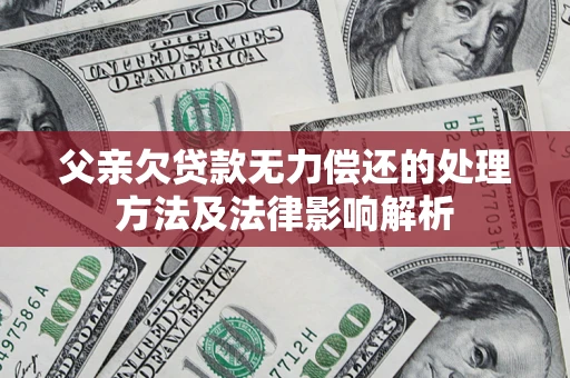 武汉父亲欠贷款无力偿还的处理方法及法律影响解析