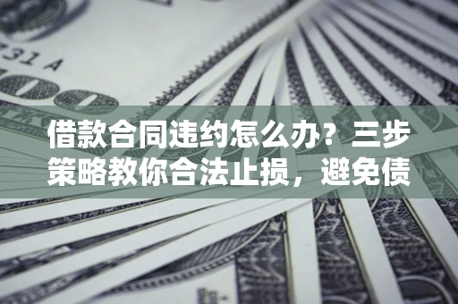 武汉借款合同违约怎么办？三步策略教你合法止损，避免债务危机升级