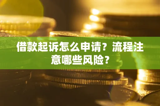 武汉借款起诉怎么申请？流程注意哪些风险？